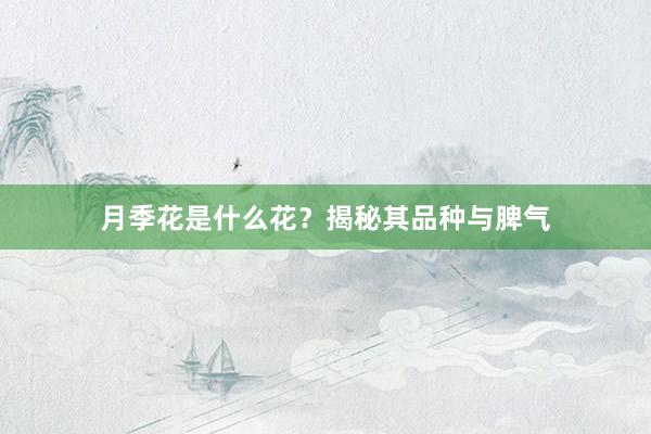月季花是什么花？揭秘其品种与脾气