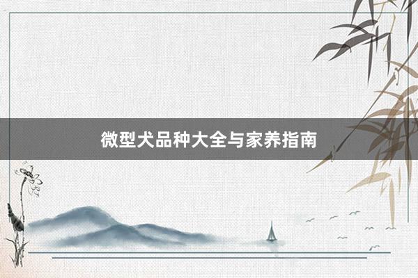 微型犬品种大全与家养指南